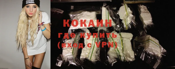 твердый Коряжма