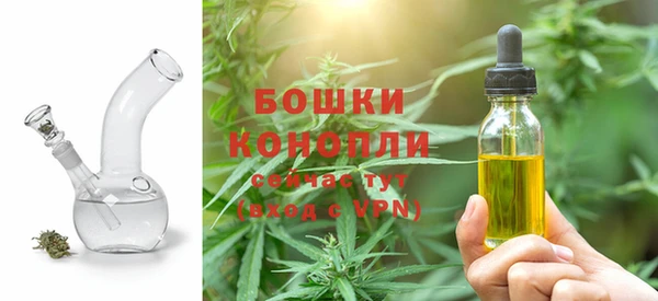 твердый Коряжма