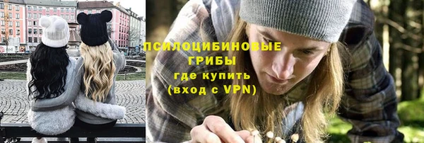 скорость Щигры