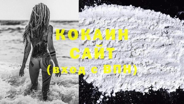 твердый Коряжма
