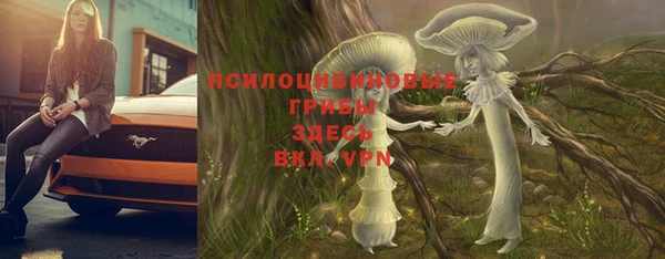 скорость Корсаков