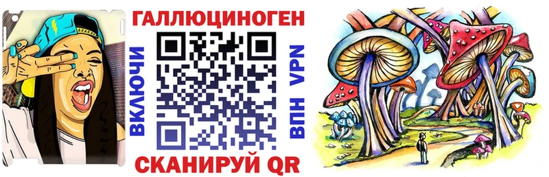дарнет шоп  Киров  Галлюциногенные грибы мухоморы 